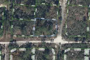 300 Rainbow Dr, Lake Placid, FL 33852 - Photo 1