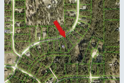 14398 Chimney Swift Road, Weeki Wachee, FL 34614 - Photo 2