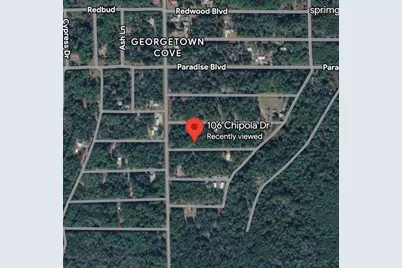 106 Chipola Drive, Georgetown, FL 32139 - Photo 8
