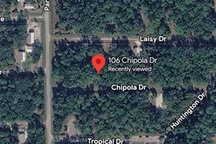 106 Chipola Dr, Georgetown, FL 32139 - Photo 1