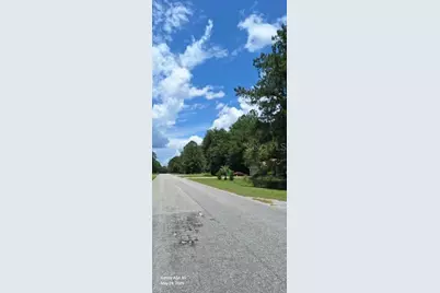 Lot 15 Ficher Lane, Ocklawaha, FL 32179 - Photo 4
