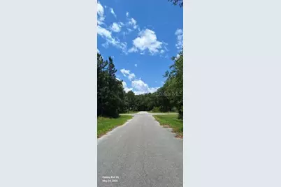 Lot 15 Ficher Lane, Ocklawaha, FL 32179 - Photo 2