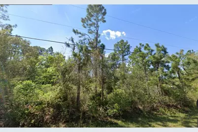 2834 Orange Blossom Street, Bunnell, FL 32110 - Photo 2