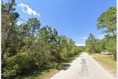 2834 Orange Blossom Street, Bunnell, FL 32110 - Photo 4