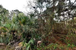 Henning St, North Port, FL 34288 - Photo 1