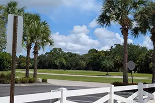 7325 Fountain Palm Cir, Bradenton, FL 34203 - Photo 54
