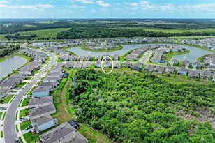 10815 Charlotte Dr., Parrish, FL 34219 - Photo 54