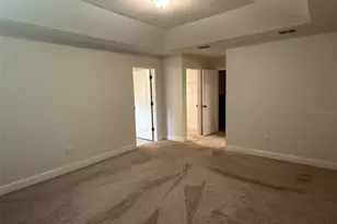 11634 Cambium Crown Dr, Riverview, FL 33569 - Photo 6