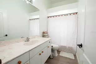 3442 NE Appaloosa St, Arcadia, FL 34266 - Photo 22