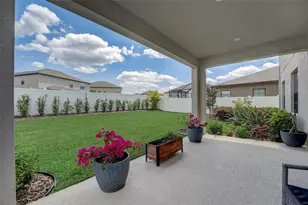 13106 Foxtail Fern Dr, Riverview, FL 33579 - Photo 54