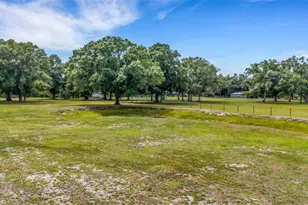 14960 Gibson Rd, Myakka City, FL 34251 - Photo 2