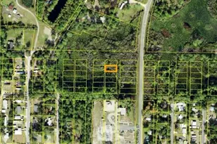 1309 Copesetic St, Carrabelle, FL 32322 - Photo 1