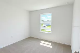 13213 Sassafras Trl, Parrish, FL 34219 - Photo 10