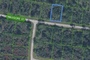 7930 Maggiore St, Sebring, FL 33872 - Photo 1