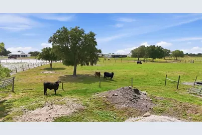 13105 Mj Road, Myakka City, FL 34251 - Photo 34