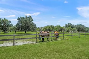 5240 Myakka Valley Trail, Sarasota, FL 34241 - Photo 52