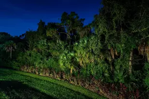 6410 Butlers Crest Dr, Bradenton, FL 34203 - Photo 42