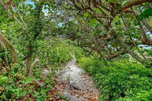 616 S Casey Key Rd, Nokomis, FL 34275 - Photo 32
