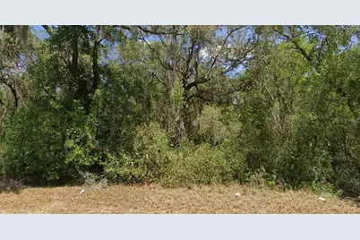 21175 SE 142nd Lane, Umatilla, FL 32784 - Photo 1
