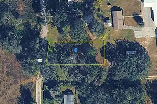 13405 Cr 719, Webster, FL 33597 - Photo 1
