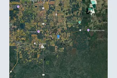 13405 Cr 719, Webster, FL 33597 - Photo 4