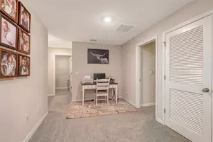 10016 Big Marsh Ter, Parrish, FL 34219 - Photo 36