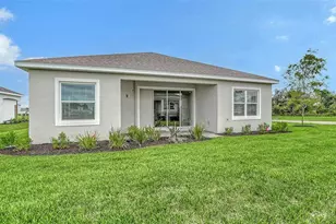10005 Powell Ave, Parrish, FL 34219 - Photo 32