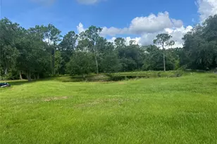 8755 Wauchula Rd, Myakka City, FL 34251 - Photo 22