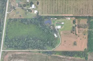8755 Wauchula Rd, Myakka City, FL 34251 - Photo 30