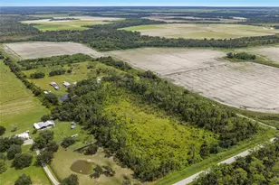 8755 Wauchula Rd, Myakka City, FL 34251 - Photo 34