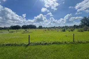 8755 Wauchula Rd, Myakka City, FL 34251 - Photo 4