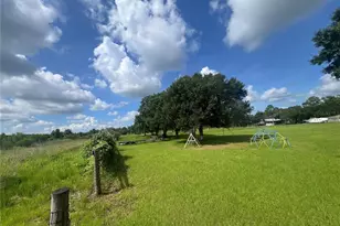 8755 Wauchula Rd, Myakka City, FL 34251 - Photo 12