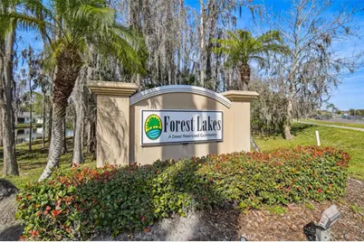 650 Sweetbriar Drive, Oldsmar, FL 34677 - Photo 44