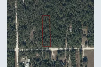 282nd Terrace, Branford, FL 32008 - Photo 4