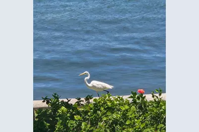 777 John Ringling Boulevard #24, Sarasota, FL 34236 - Photo 14