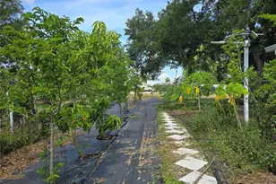 2515 16th Ave Dr E, Bradenton, FL 34208 - Photo 4