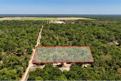 Ne 125th Street, Bronson, FL 32621 - Photo 2