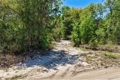 Ne 125th Street, Bronson, FL 32621 - Photo 10