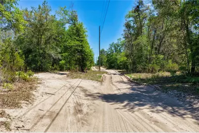 Ne 125th Street, Bronson, FL 32621 - Photo 8