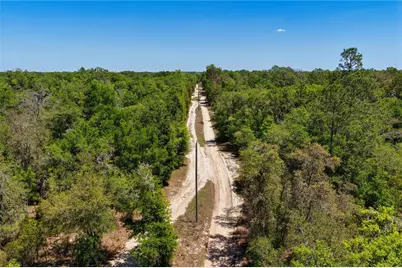 Ne 125th Street, Bronson, FL 32621 - Photo 6