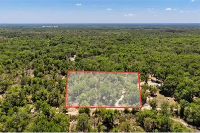 Ne 125th Street, Bronson, FL 32621 - Photo 1
