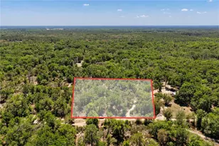 NE 125th St, Bronson, FL 32621 - Photo 1