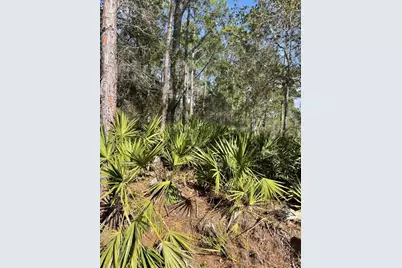 32 Fyfe Avenue, Debary, FL 32713 - Photo 2