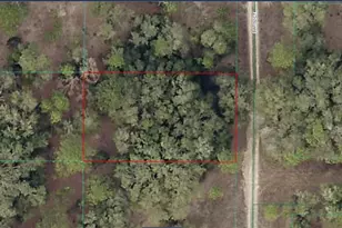 SW 152nd Ave Lot 19, Ocala, FL 34481 - Photo 1