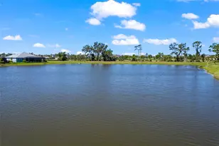 14147 Campfire Ct, Parrish, FL 34219 - Photo 4