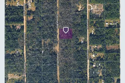 1743 Coconut Boulevard, Bunnell, FL 32110 - Photo 2