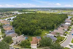 10461 Old Grove Cir, Bradenton, FL 34212 - Photo 6