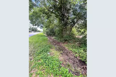 10907 Estates Del Sol Drive, Riverview, FL 33579 - Photo 4