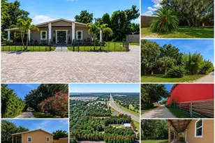11740 Darsey Rd, Parrish, FL 34219 - Photo 72