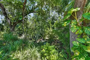 11740 Darsey Rd, Parrish, FL 34219 - Photo 56